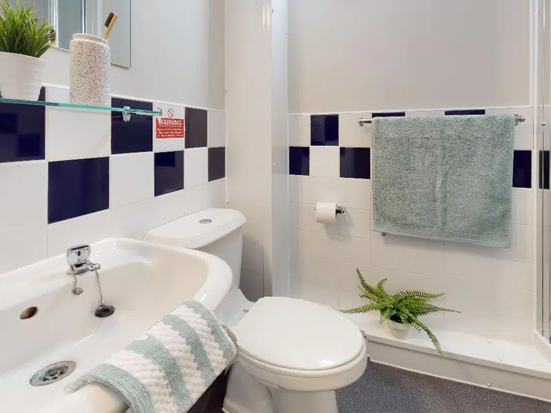 Silver En Suite Plus photo 4