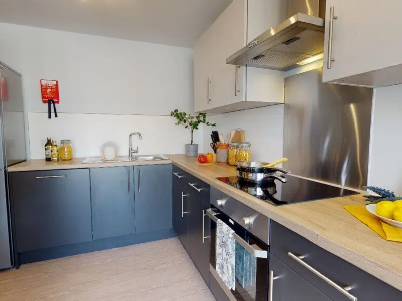 Silver En Suite Plus photo 5
