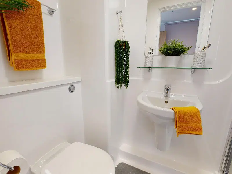 Silver En Suite Plus photo 4
