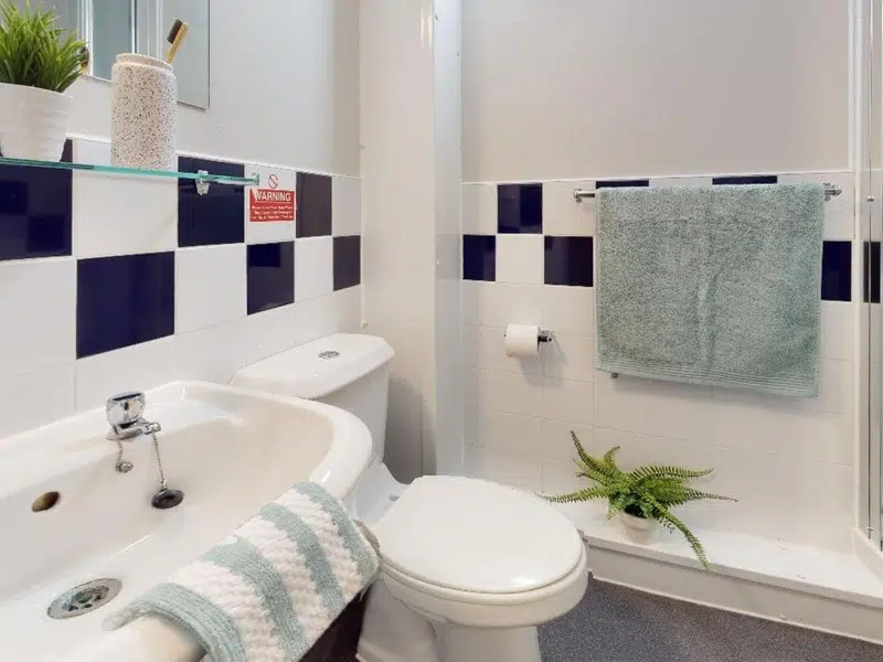 Silver En Suite Plus photo 3