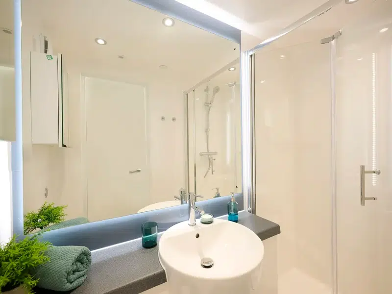Silver Ensuite photo 5
