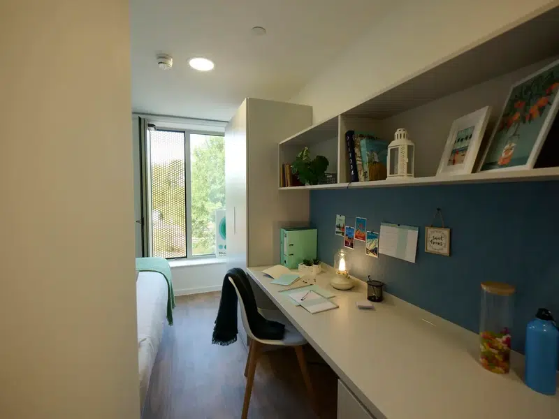 Silver Ensuite photo 4