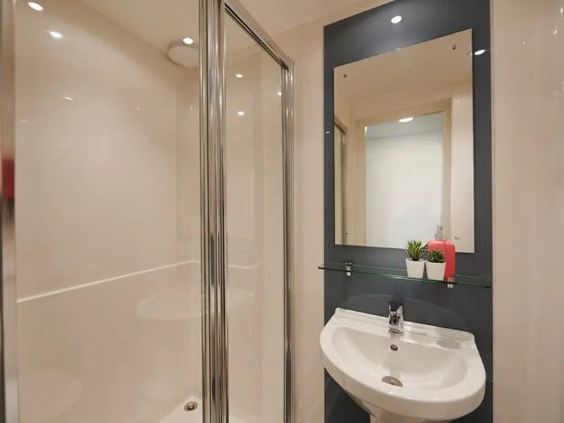 Silver Ensuite photo 2