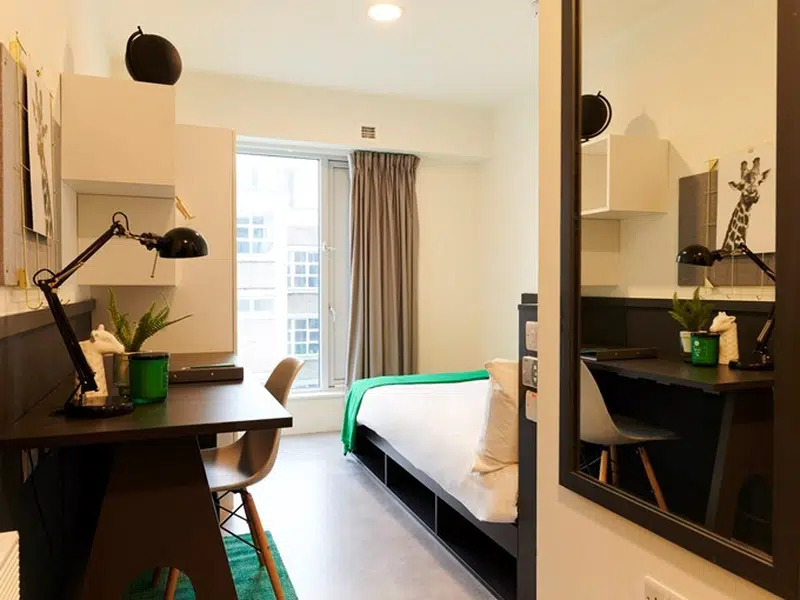 Silver Ensuite photo 4