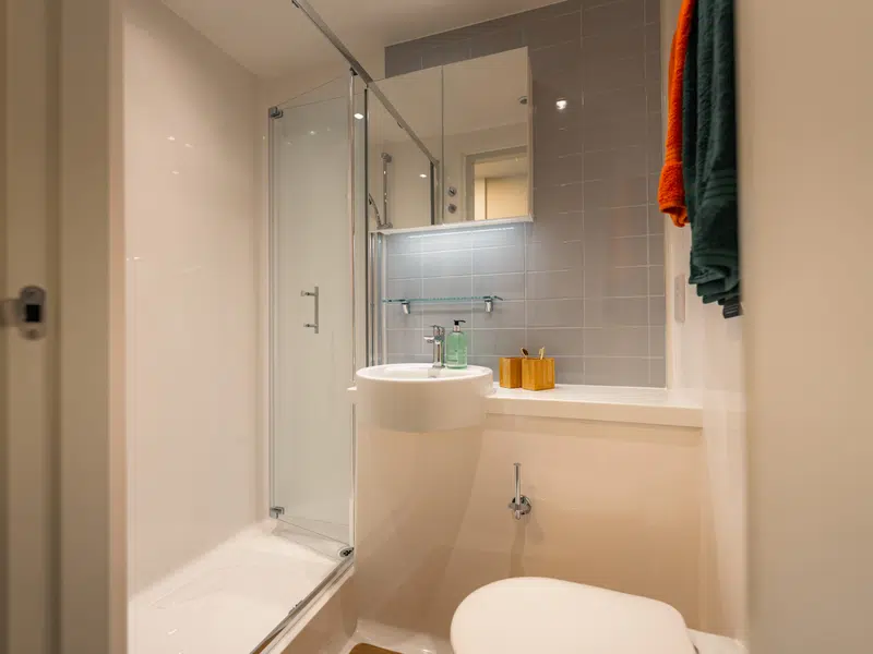 Silver Ensuite - Low Floor photo 3