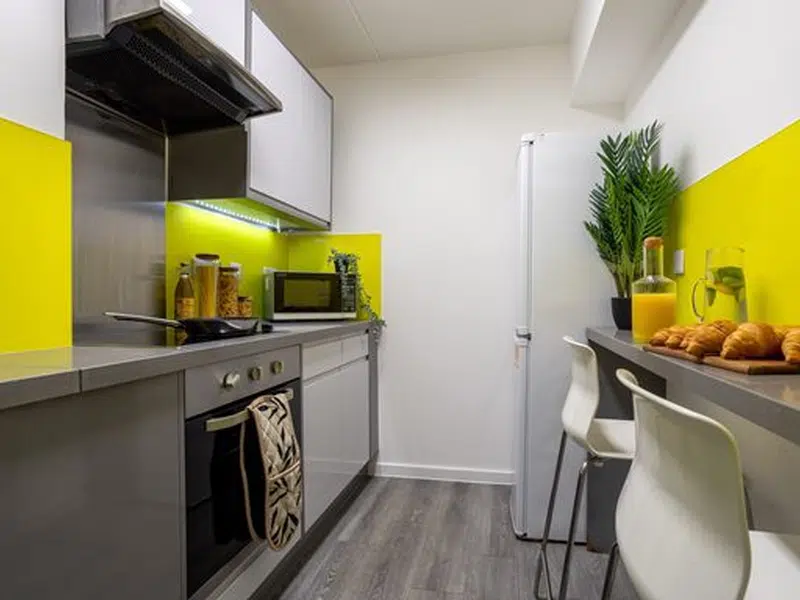 Bronze Plus Non Ensuite – 4 Bed Flat photo 2