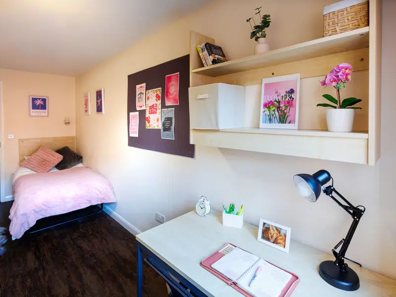 Silver Single Non Ensuite photo 3