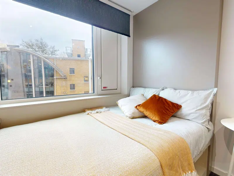 Bronze Ensuite Plus photo 5