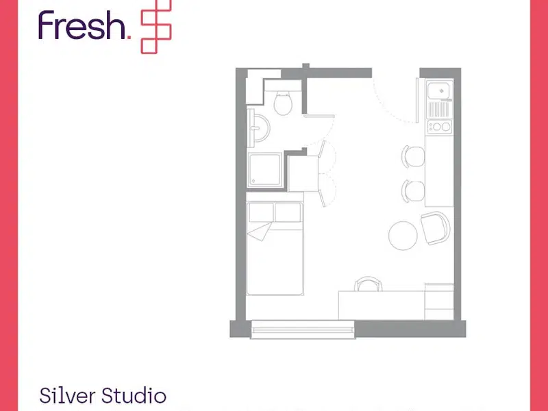 Silver Studio photo 4