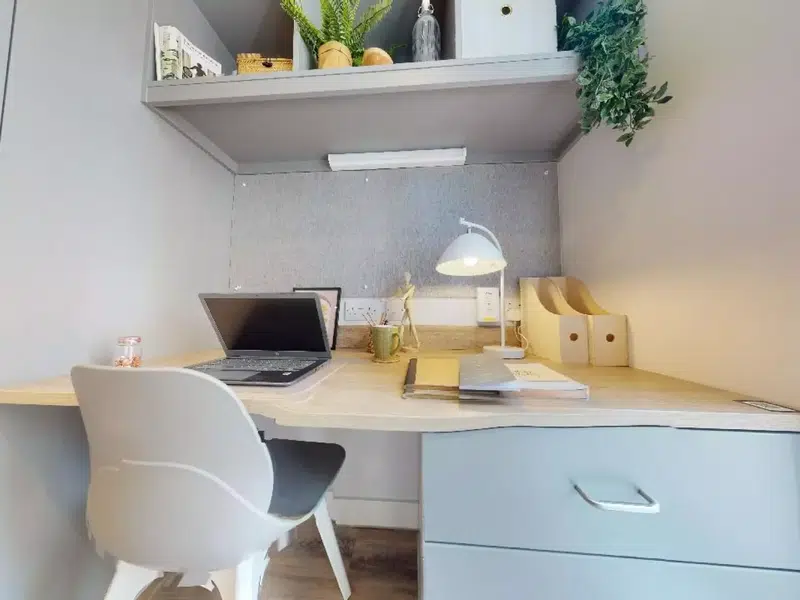 Silver Studio Plus photo 2