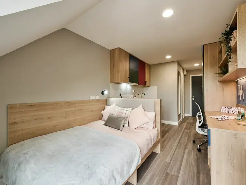 Silver Studio Plus photo 1