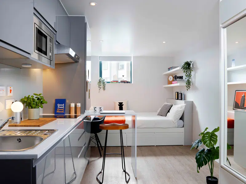 Silver Studio - Single Occupancy photo 1