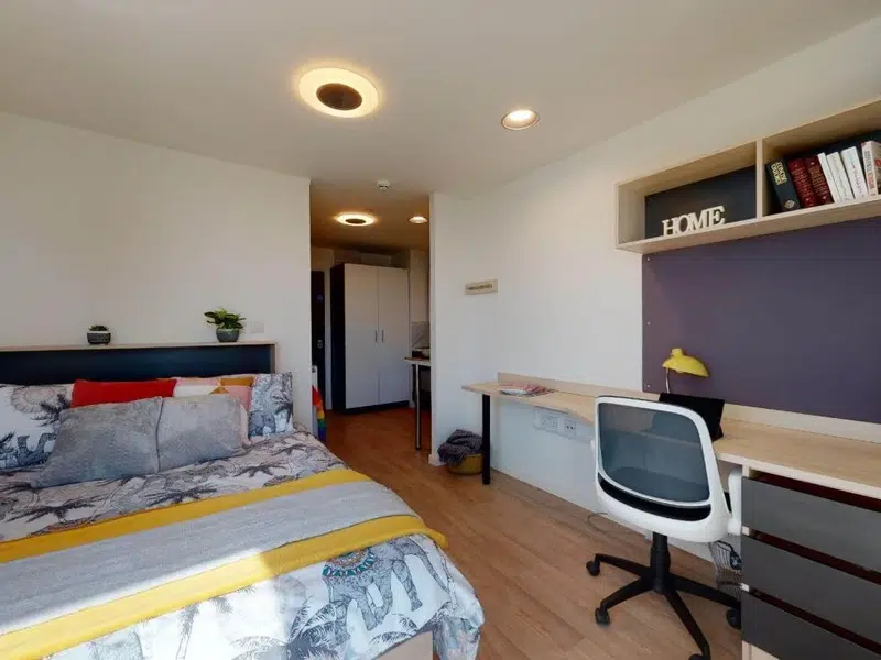 Single Studio Plus photo 5