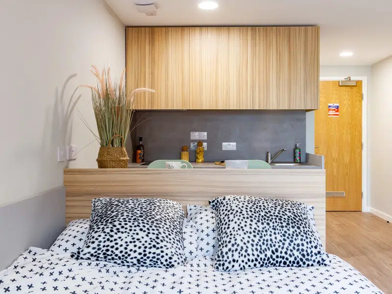 Skyline Studio photo 3