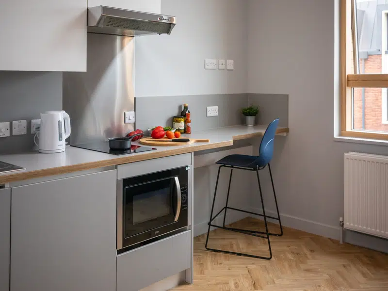 Duplex Apartment photo 3