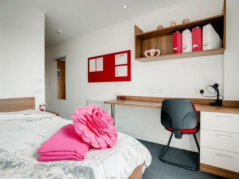 Standard En-suite In A 5-Bed Flat photo 1