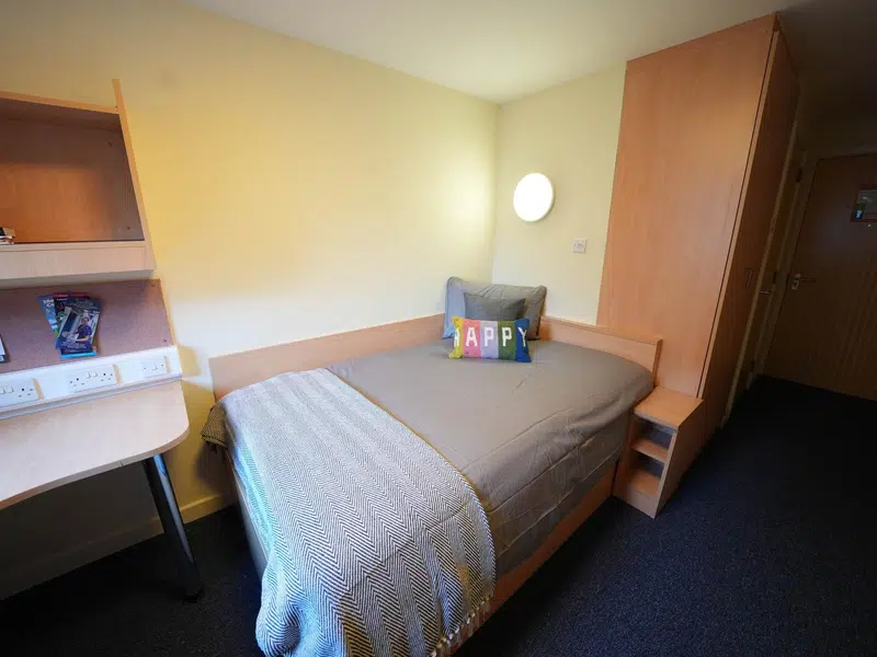 Standard Ensuite ( within a 4 bed flat ) photo 1