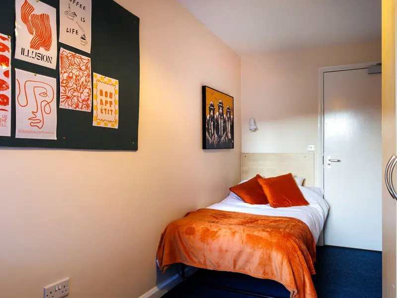 Bronze Single Non Ensuite photo 1
