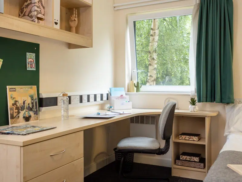 Standard Plus En-suite photo 2