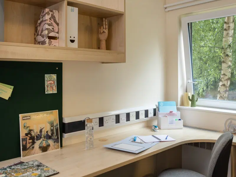 Standard Plus En-suite photo 3