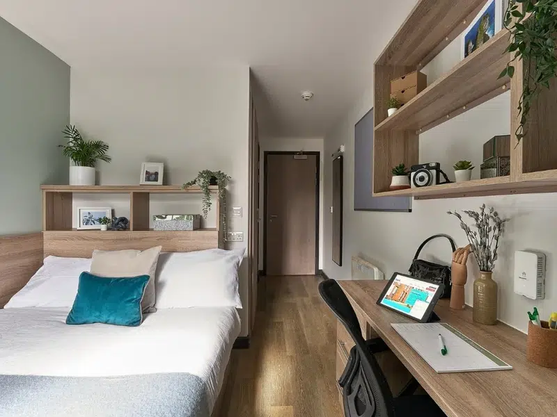 Standard Plus En-suite In A 5-Bed Flat. photo 1