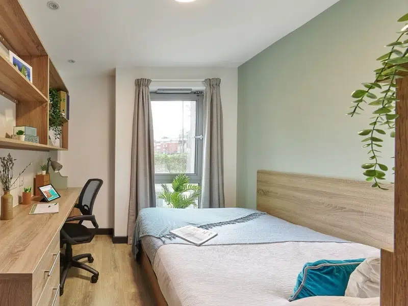 Standard Plus En-suite In A 5-Bed Flat. photo 3