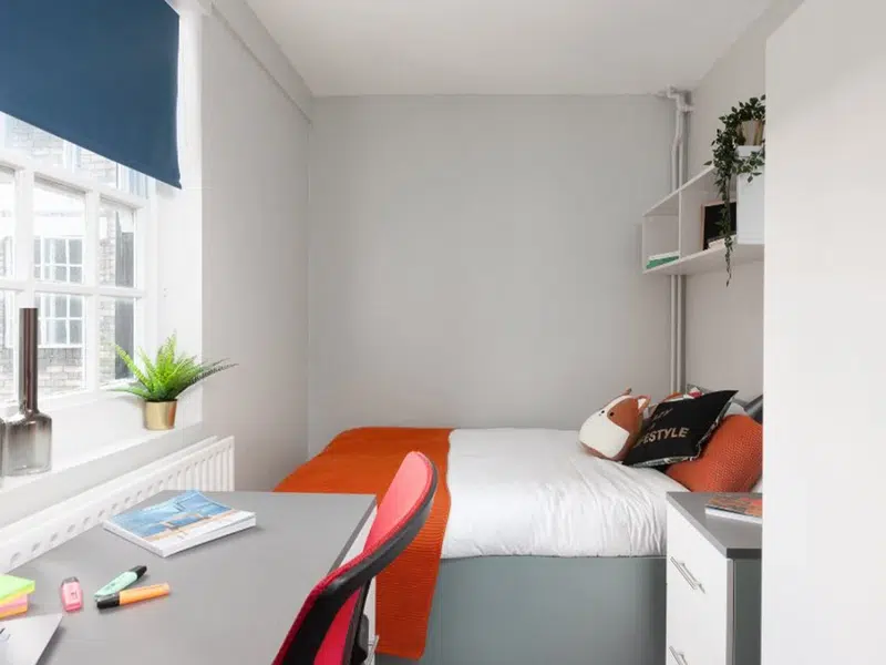 Standard Plus Room photo 1