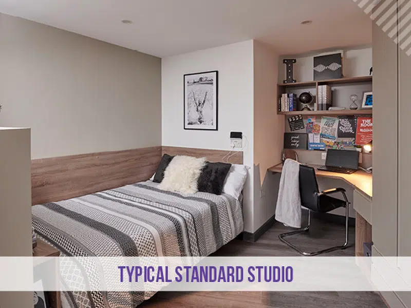 Standard Plus Studio photo 1