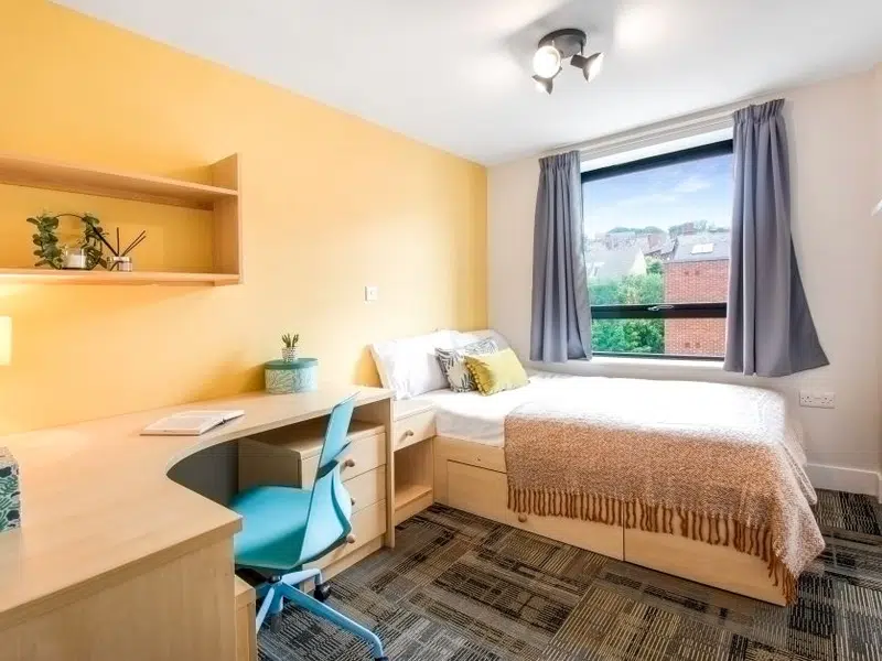 Standard Room photo 2