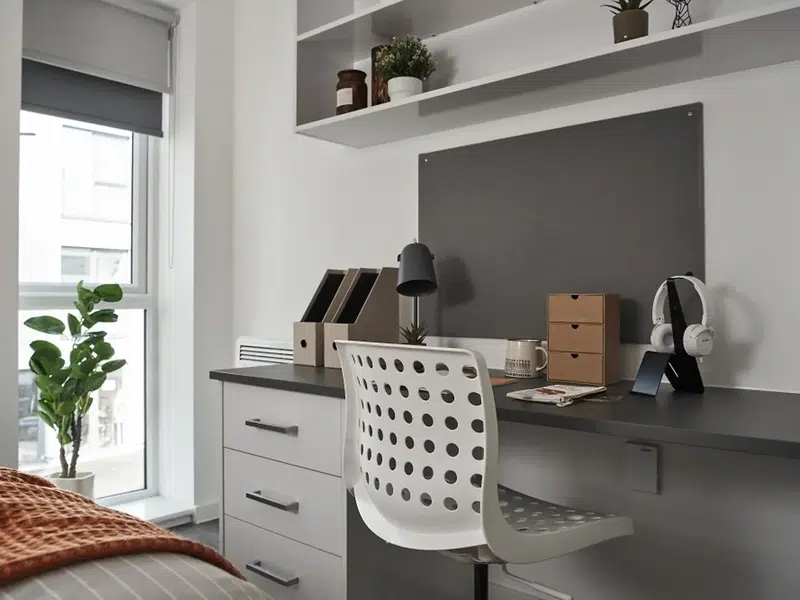 Standard Studio - City View photo 6