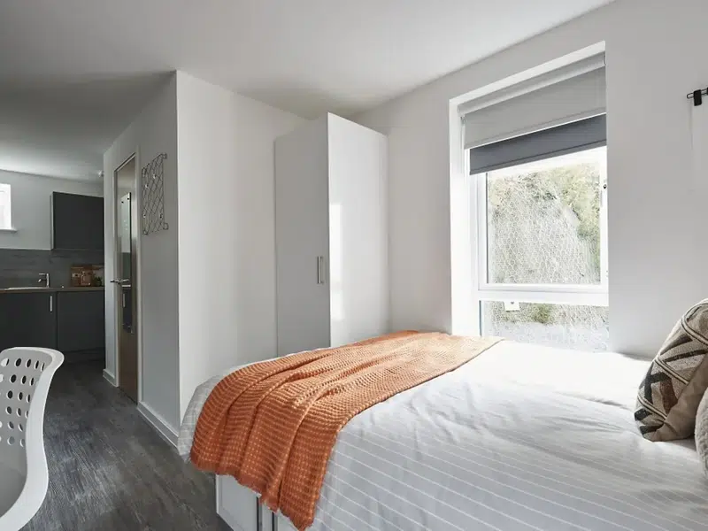 Standard Studio - City View photo 4