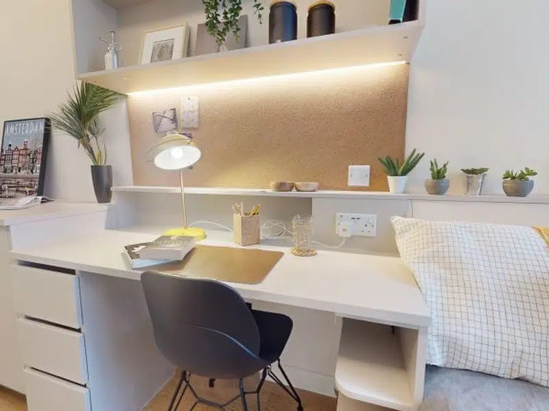 Bronze Studio Plus photo 3