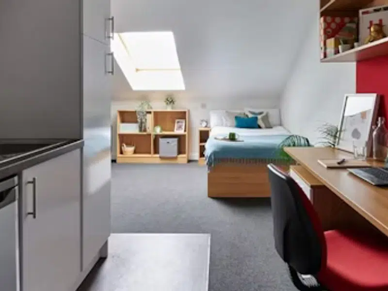 Standard Studio Plus photo 3