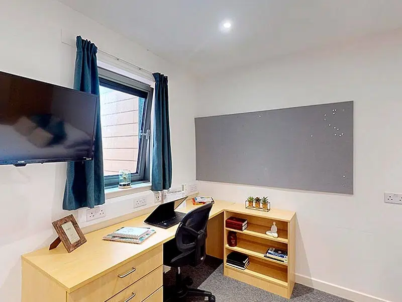 Studio Plus photo 3