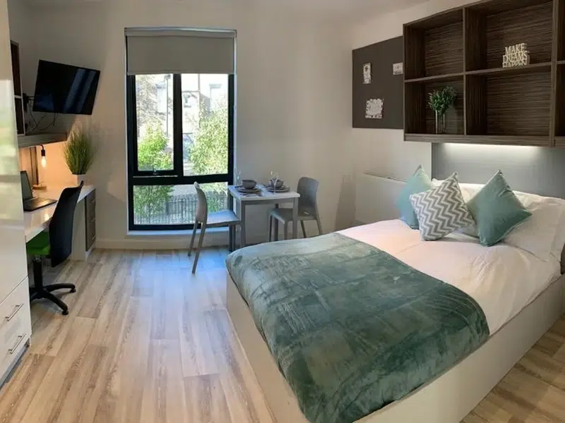 Studio Gold photo 1