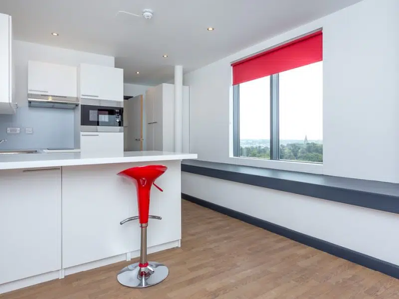 Studio Penthouse photo 1