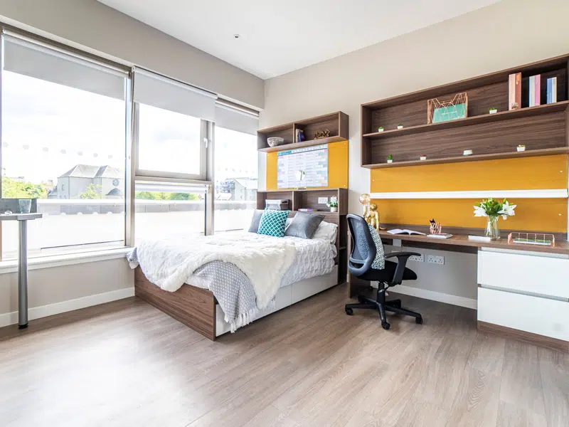 Platinum Studio - City View photo 1