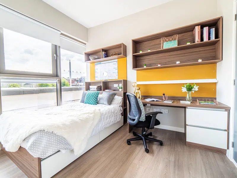 Platinum Studio - City View photo 3