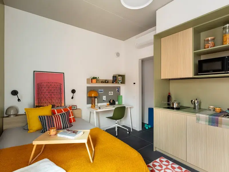 Studio Premium with Large Bed photo 1