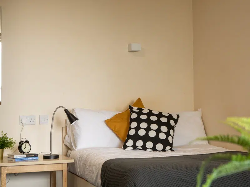 Studio Apartment photo 4
