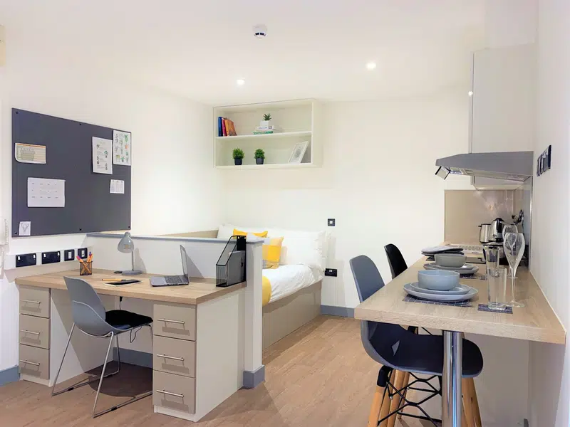 Studio Silver - Accessible photo 2
