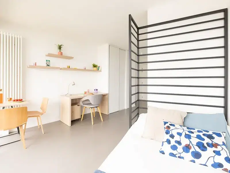 Studio with Balcony photo 1