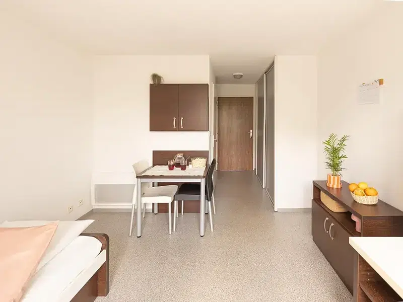 Studio with Balcony photo 4
