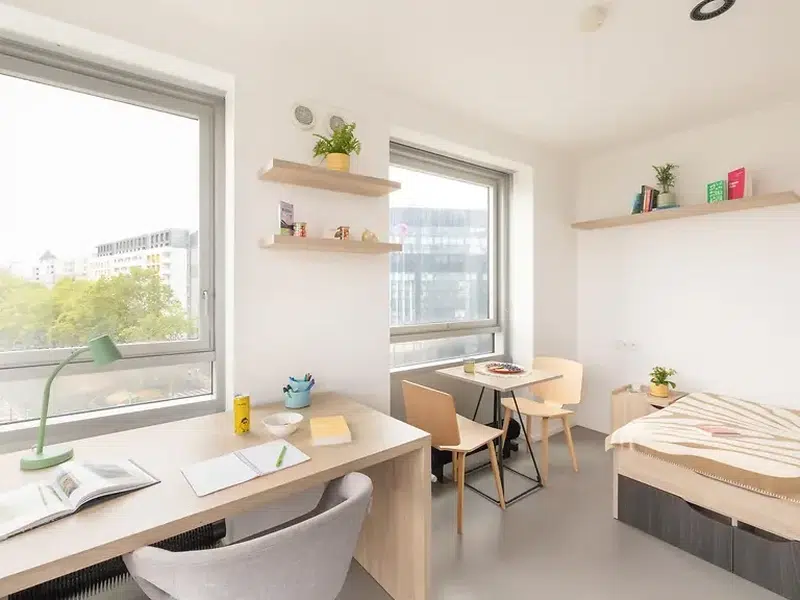 Studio with Terrace photo 6