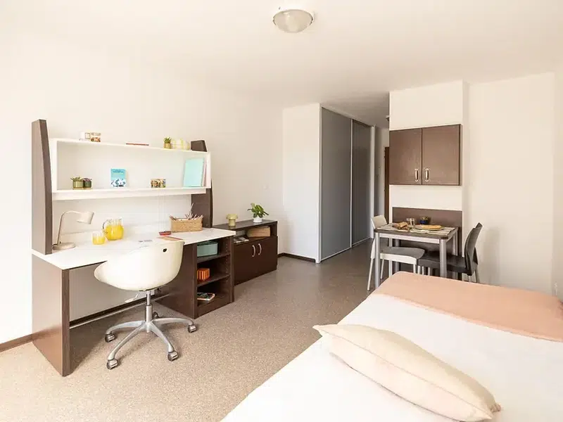 Studio with Terrace photo 1
