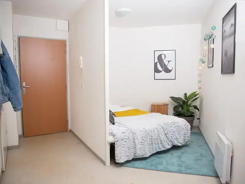 Studio with Terrace photo 2
