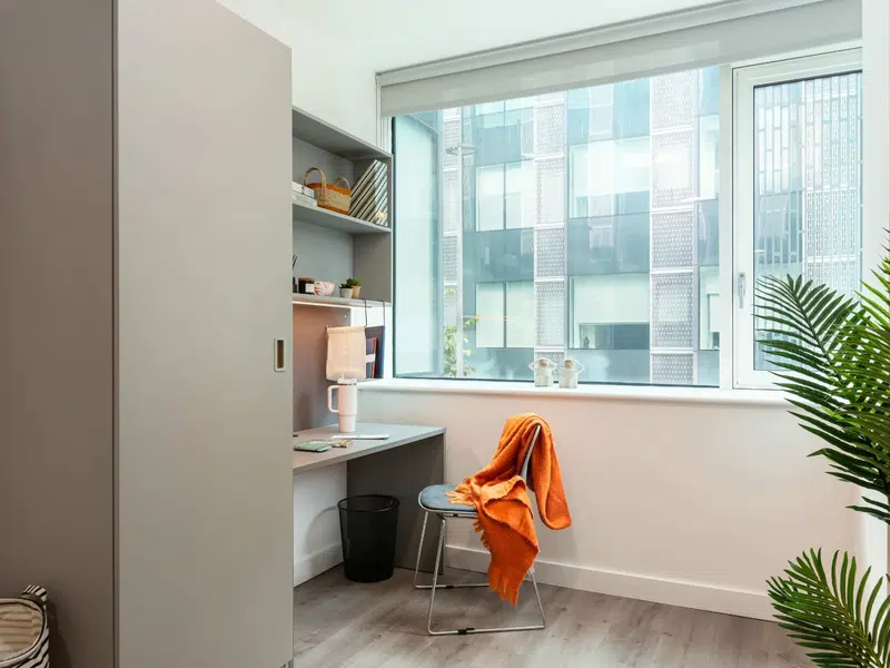 SUPERIOR EN SUITE PLUS photo 3