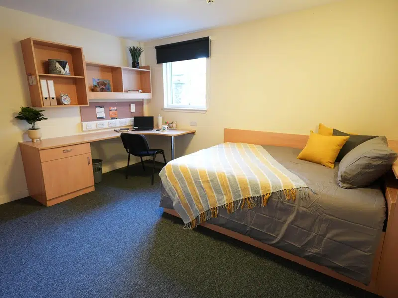 Double Ensuite ( within a 5 bed flat ) photo 3
