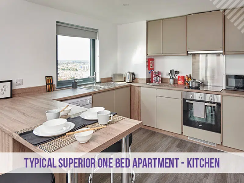 Superior Plus 1 Bed Apartment photo 2