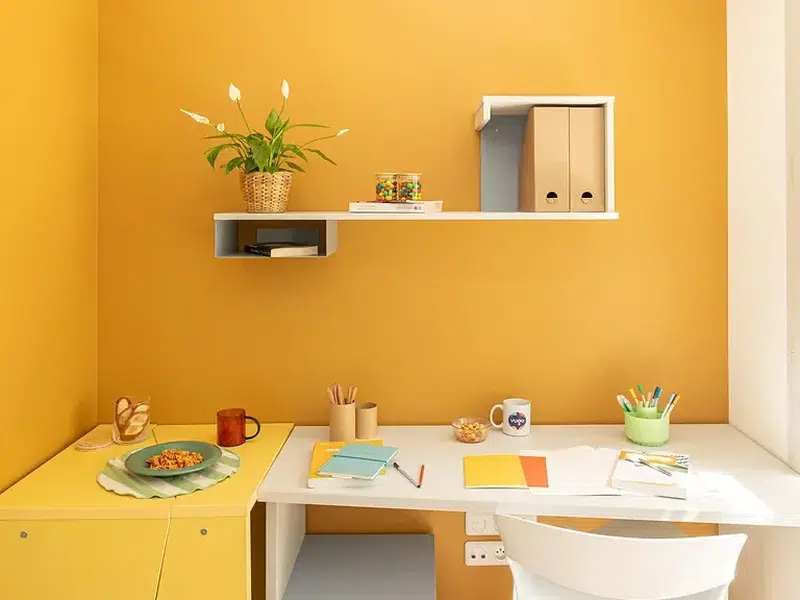 T1 Apartment photo 3